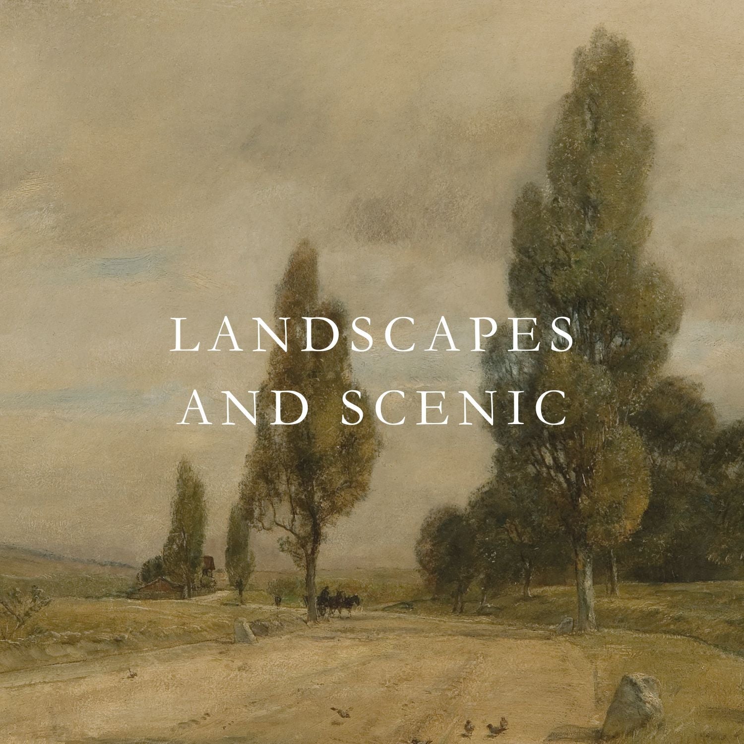 Landscapes and Scenery