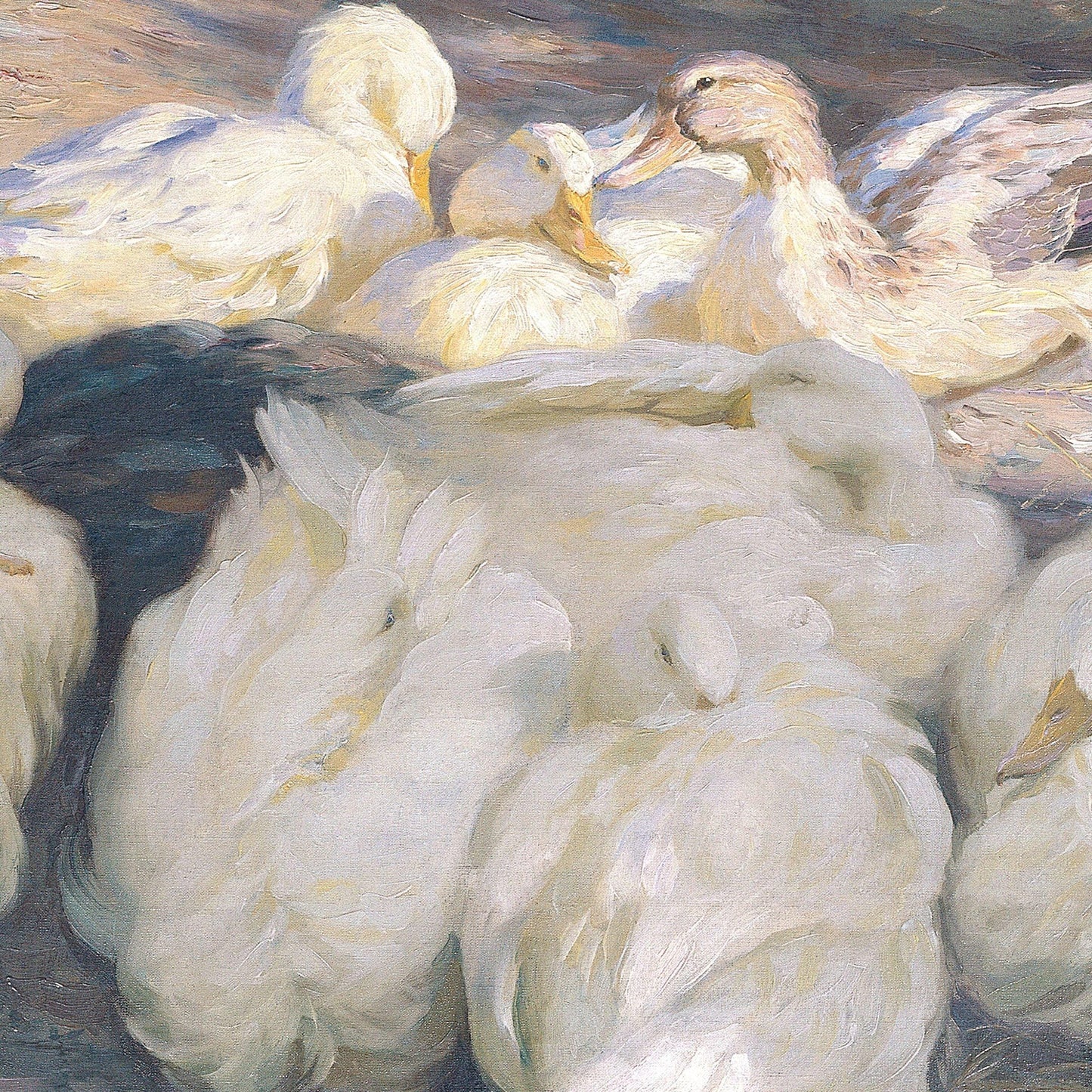 Artistic depiction of ducks in a group, with a focus on texture and color.