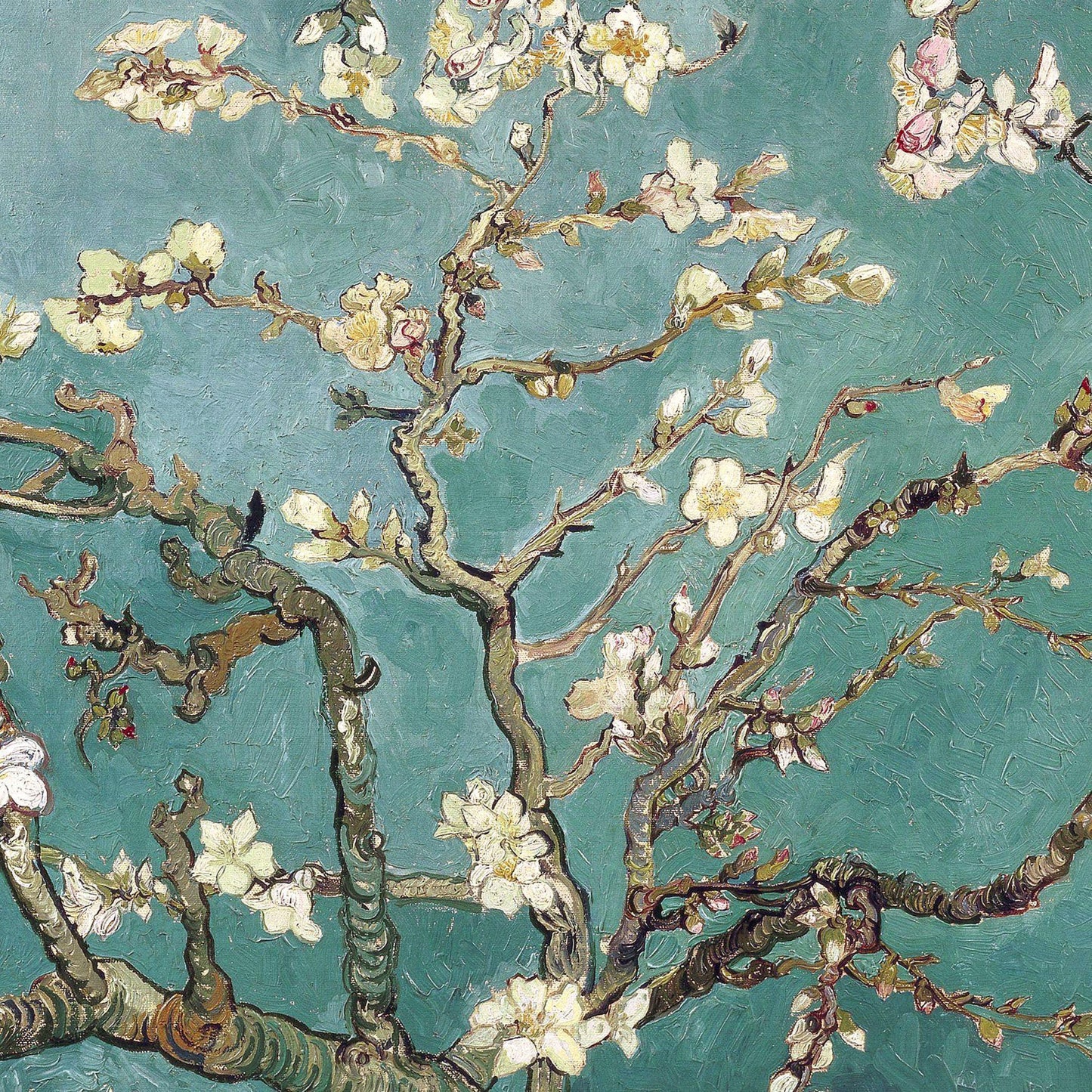 Artistic depiction of blooming branches with white flowers on a teal background
