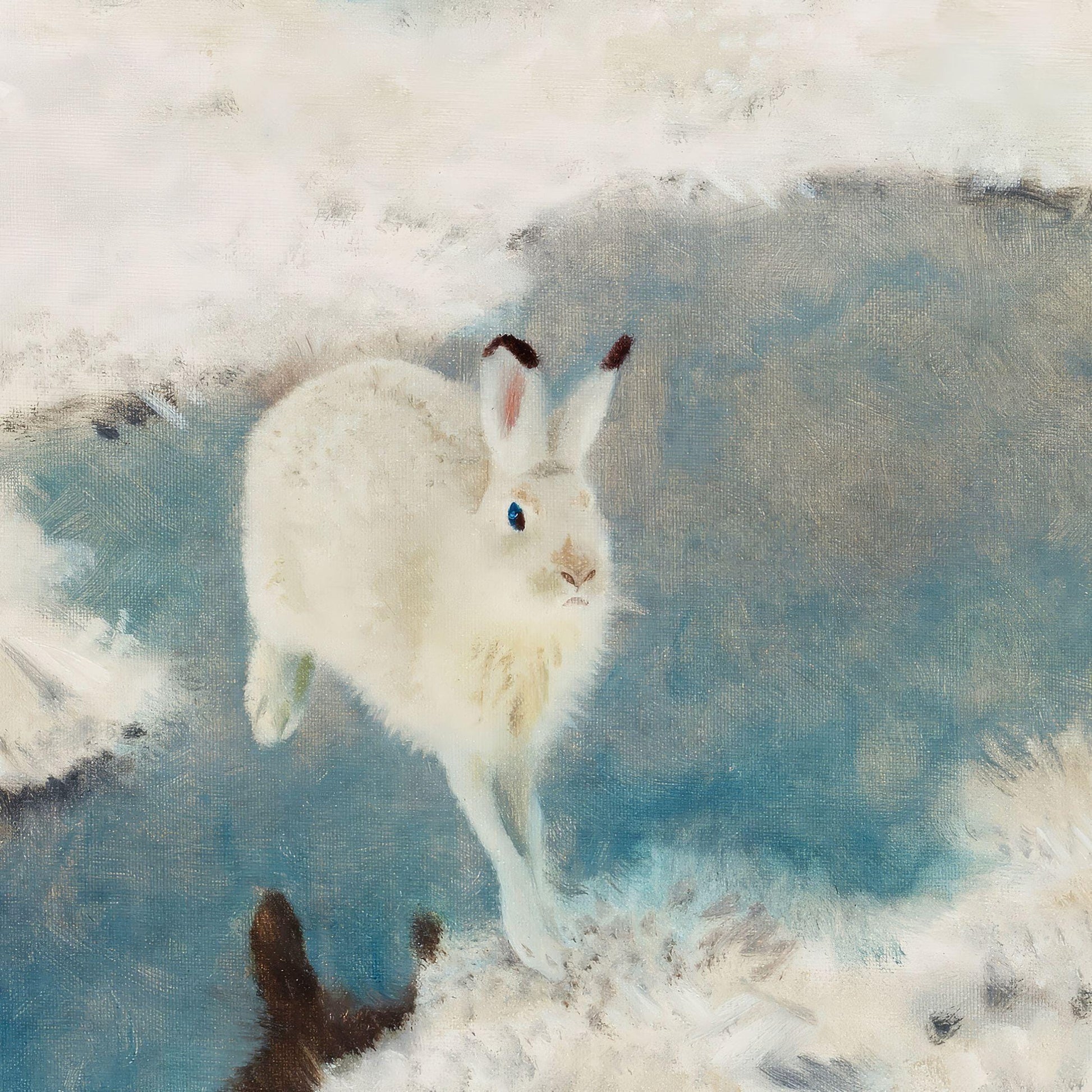 White rabbit standing on a snowy landscape with blue water below