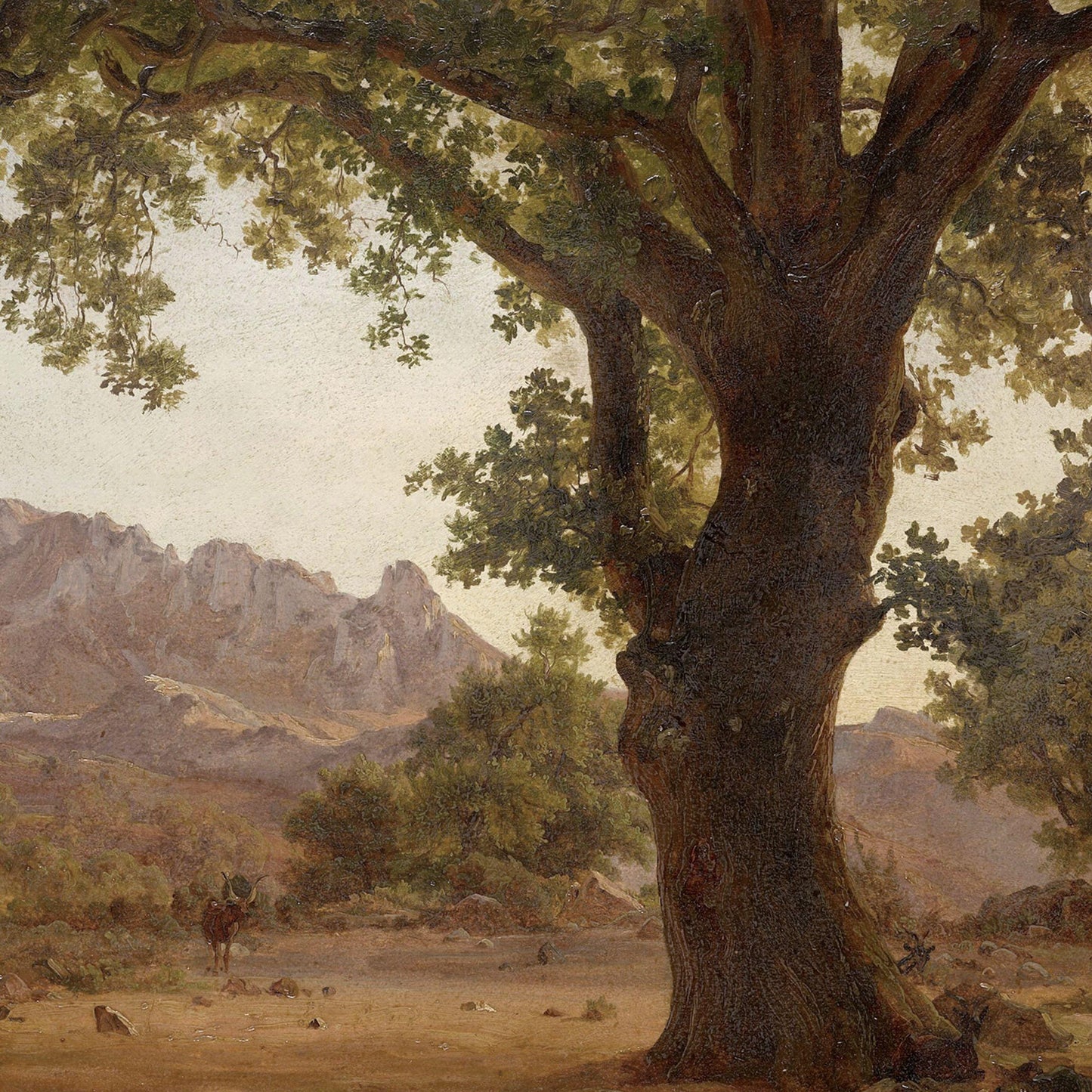 Oak Tree in a Mountainous Landscape | unknown artist (19th century)