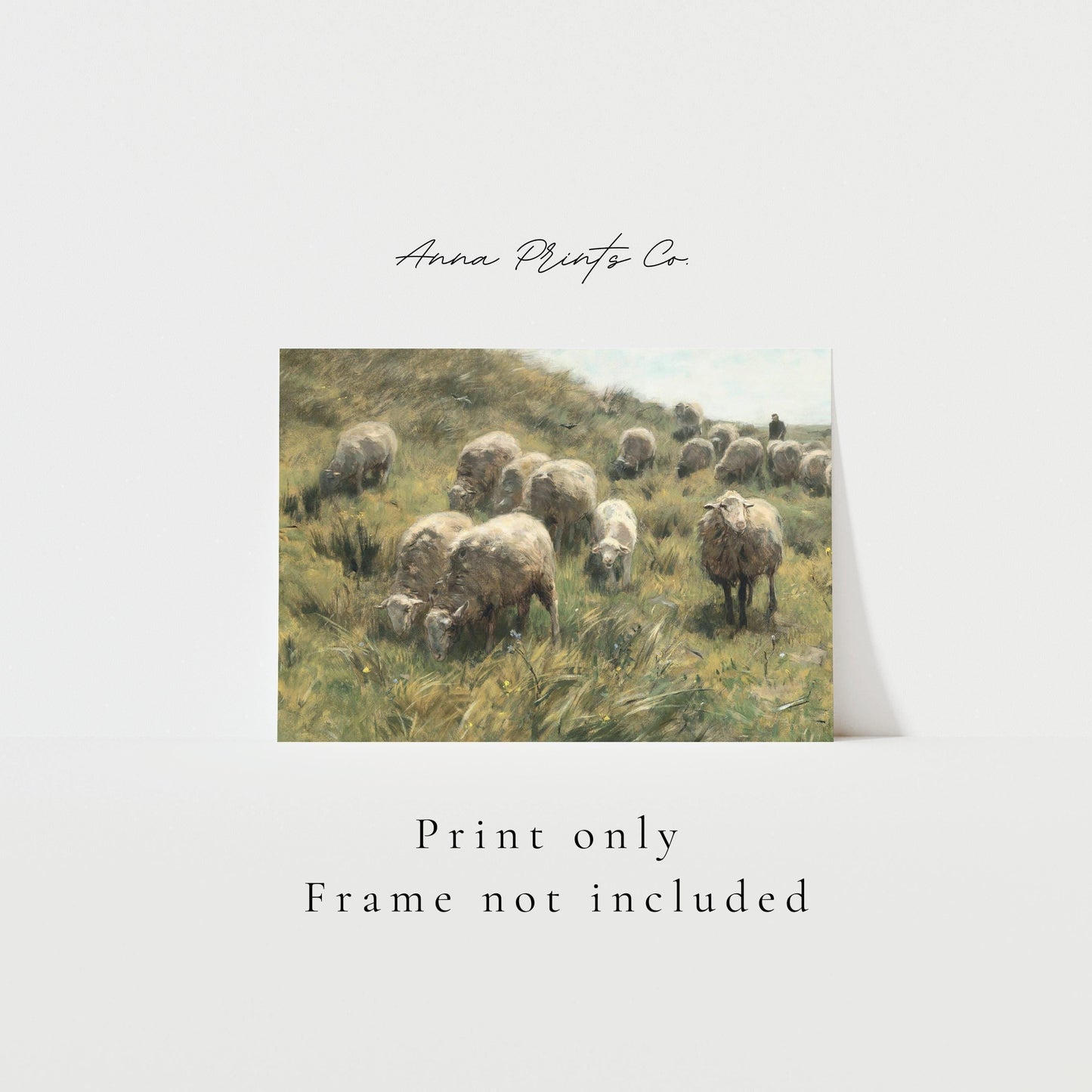 Vintage art print of Sheep in Country Landscape Painting with text overlay stating frame not included
