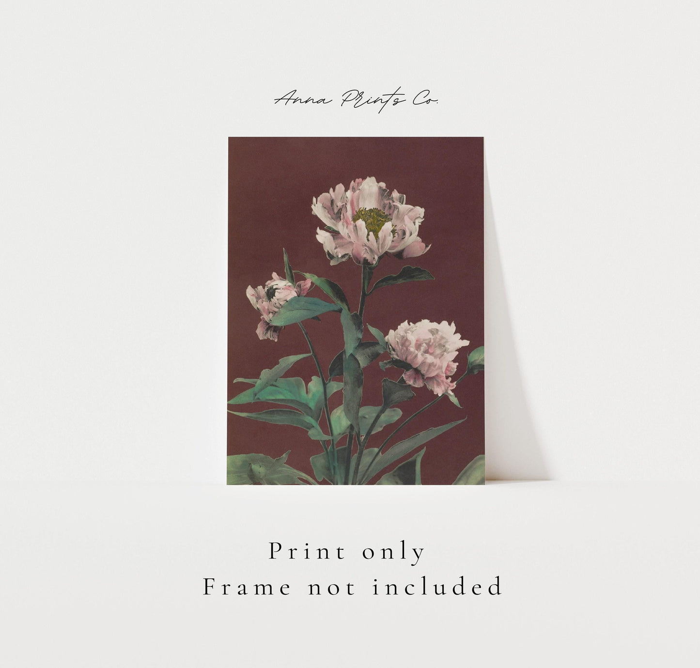 Vintage art print of Hærdaceous Pæony Pink Flowers with text overlay stating frame not included