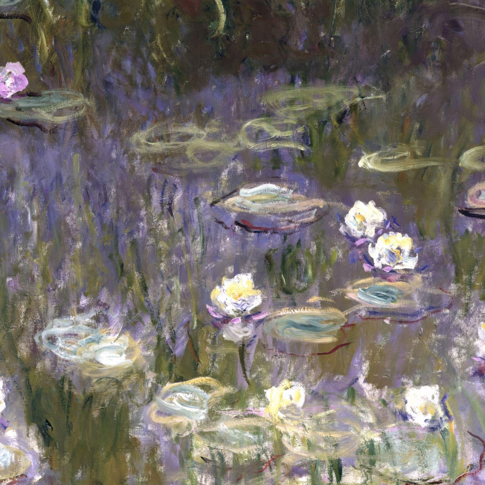 Painting of water lilies on a pond with a focus on the flowers and reflections.