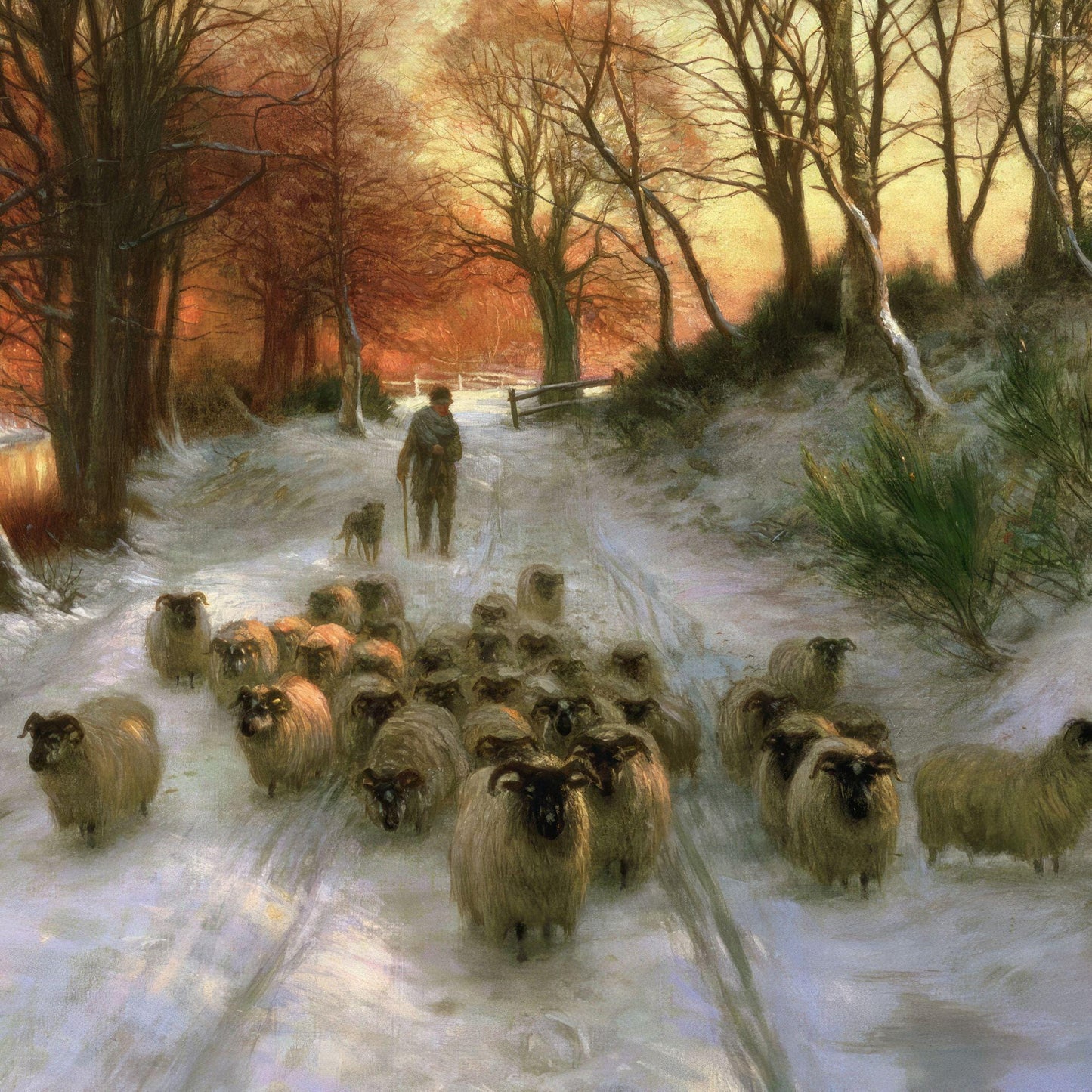 Shepherd with sheep in a snowy landscape
