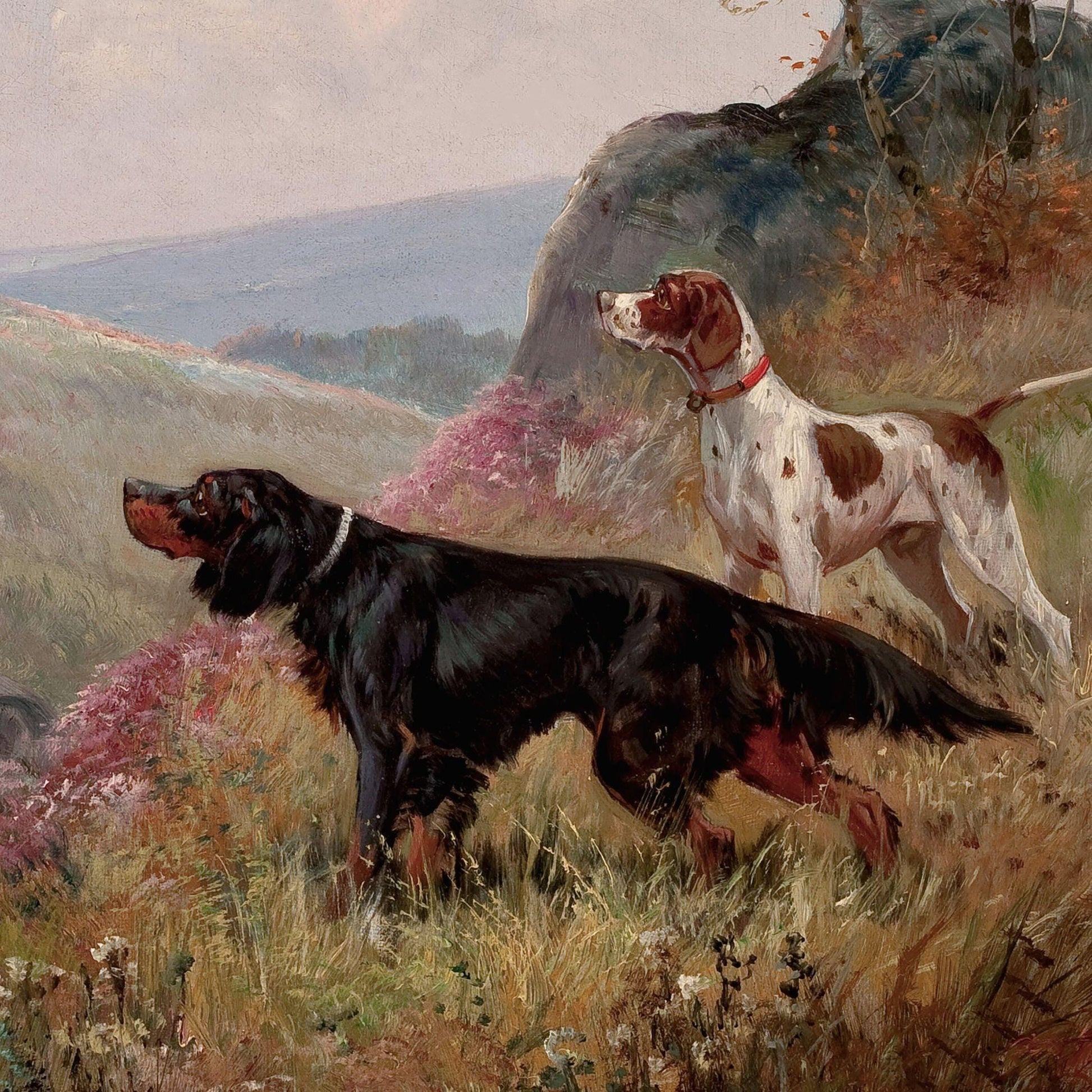 Two dogs in a natural landscape with rolling hills and trees.