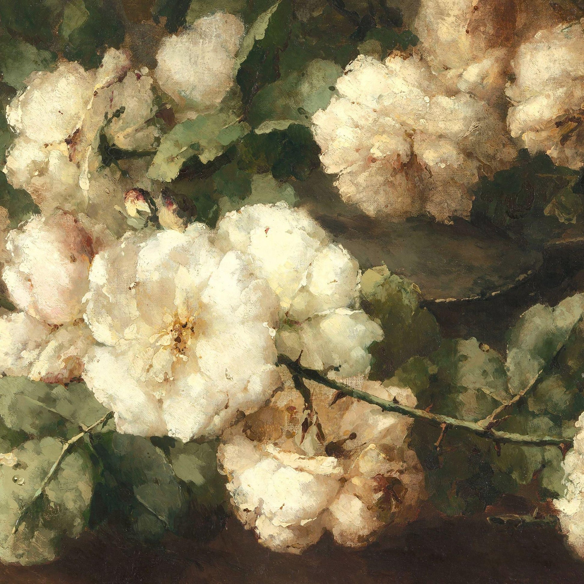 Close-up of white berries with green leaves