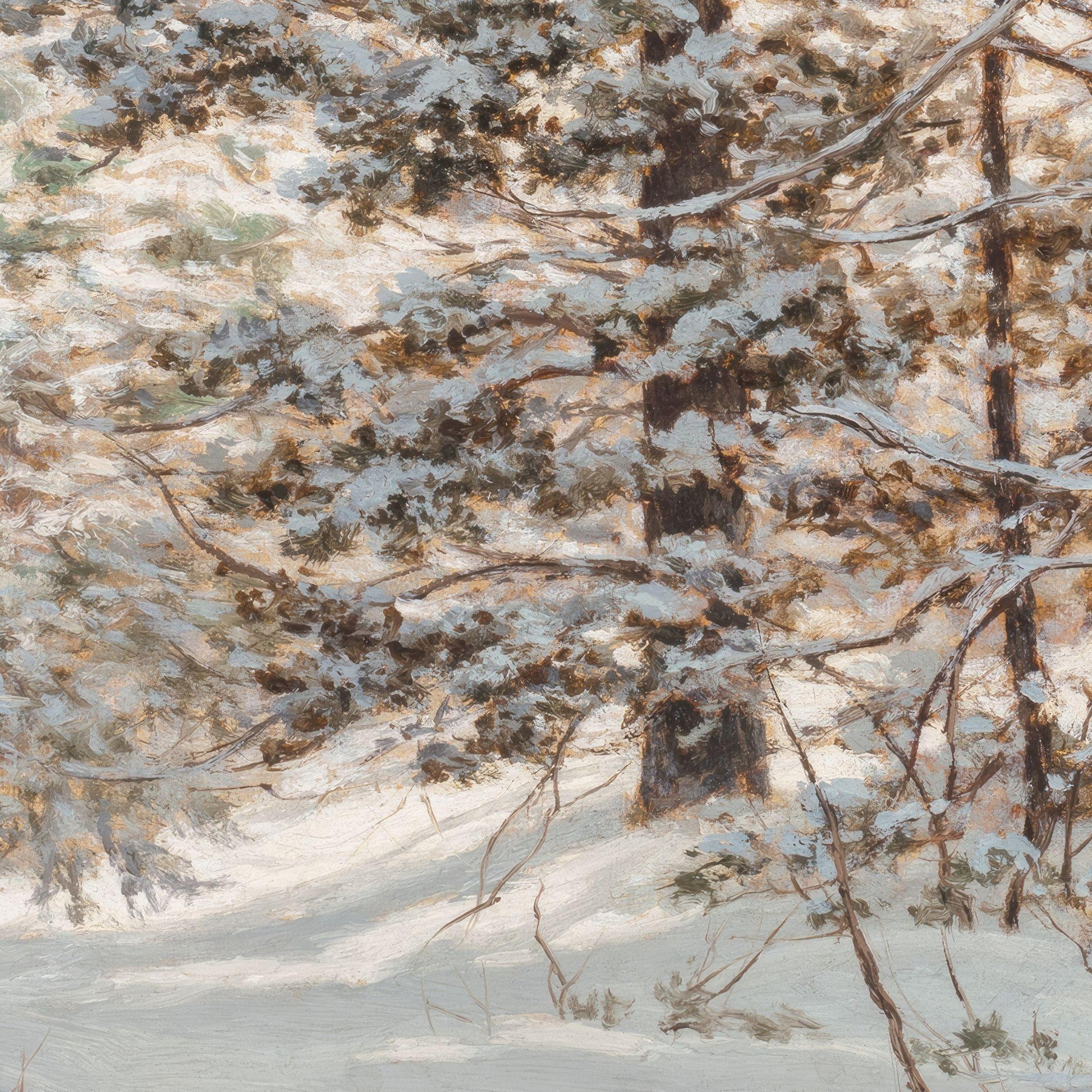 Snow-covered trees in a forest during winter