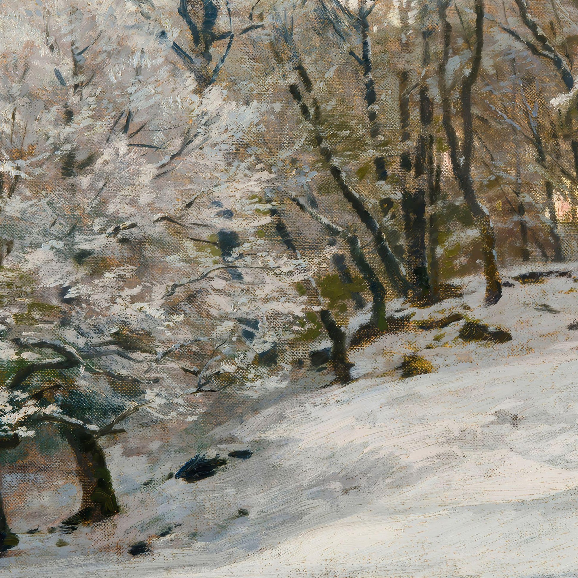 Winter landscape with snow-covered ground and bare trees