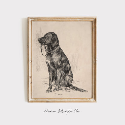 Vintage art print of Aldrich's Dog Neutral Drawing displayed in wooden frame