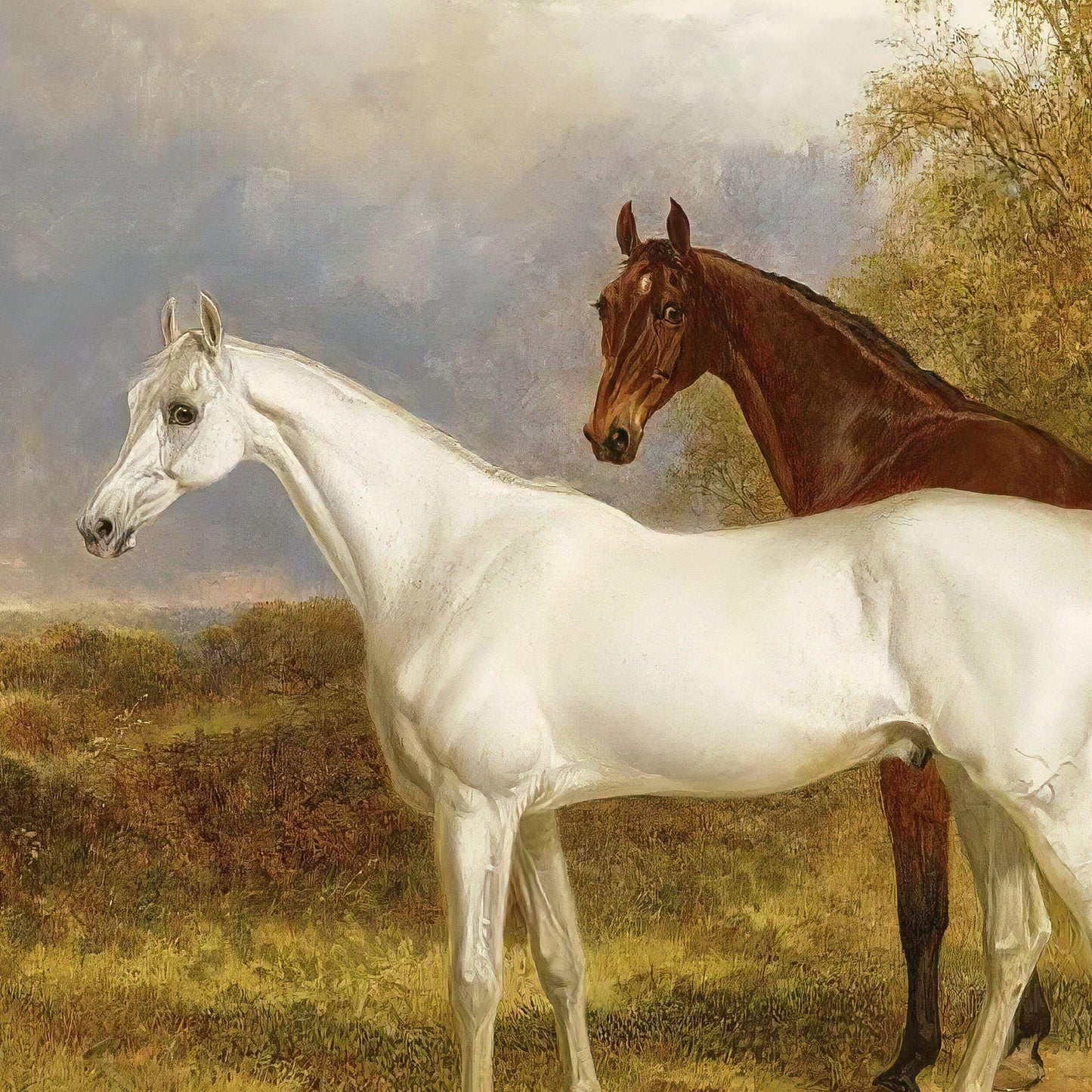 Two horses, one white and one brown, standing in a pastoral landscape.