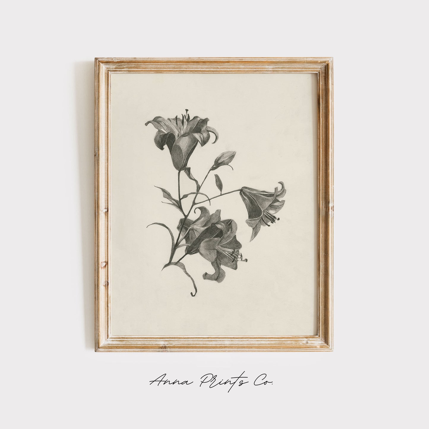 Vintage art print of Lillies Sketch Minimalist Artwork displayed in wooden frame