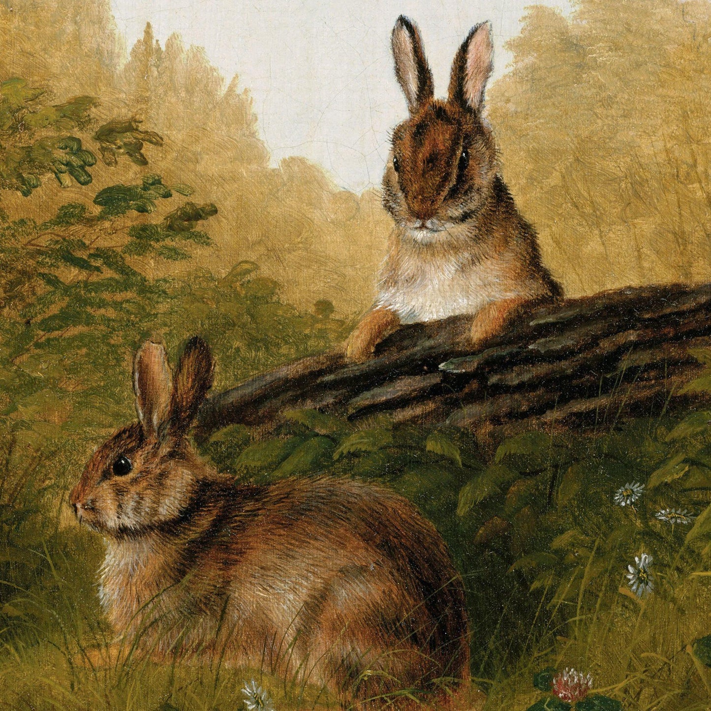 Two rabbits in a natural setting with greenery and a log.