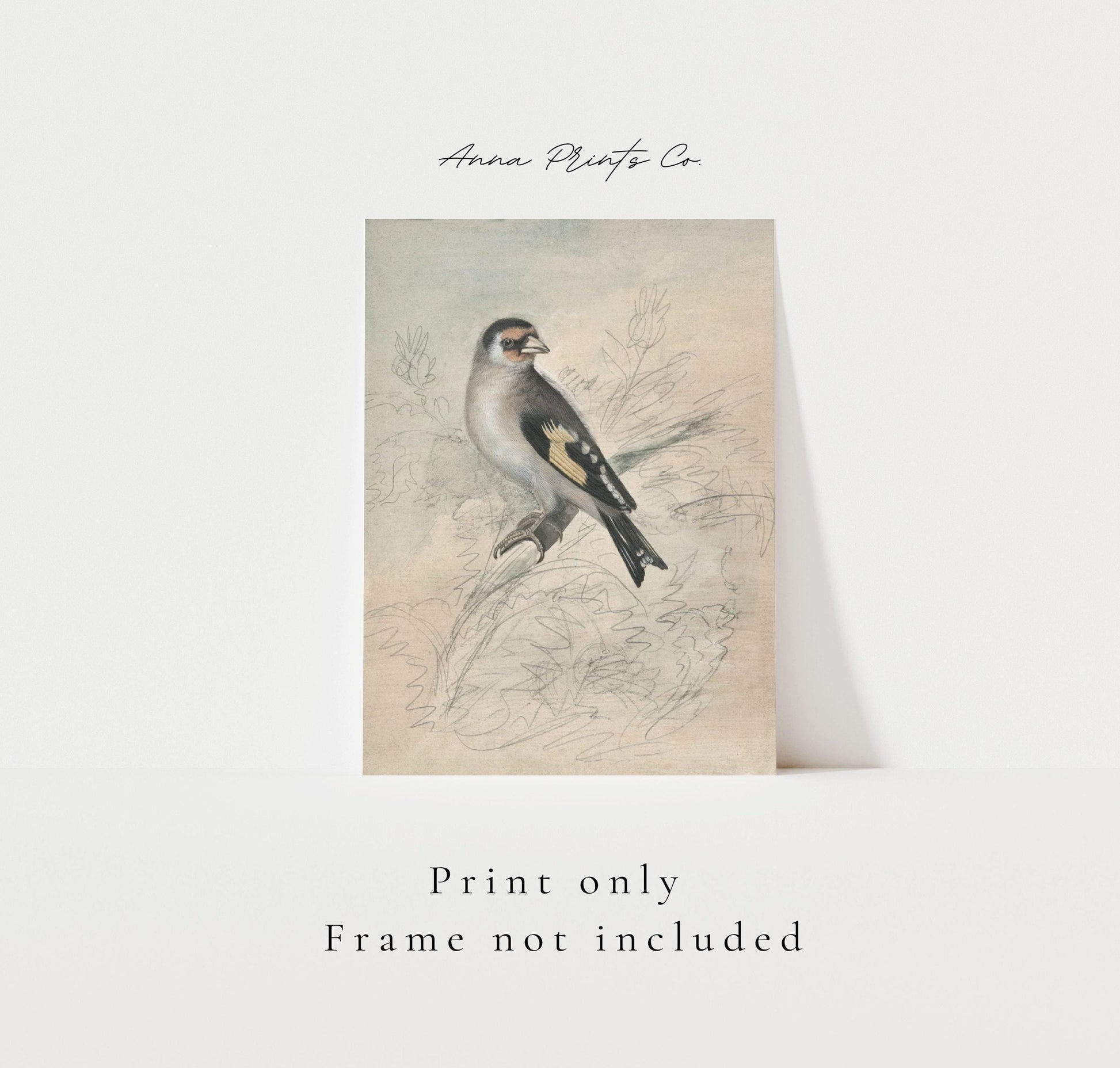 Vintage art print of A European Goldfinch Bird Sketch with text overlay stating frame not included