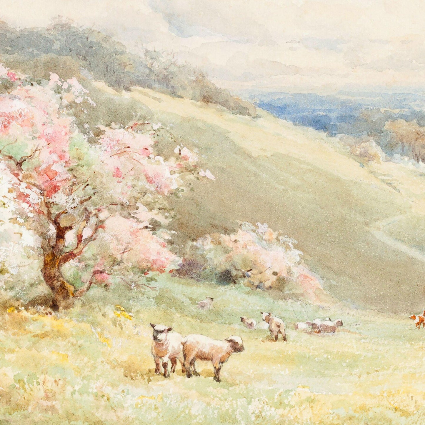 Pastoral scene with sheep in a field and cherry blossom trees on a hillside.