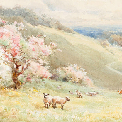 Pastoral scene with sheep in a field and cherry blossom trees on a hillside.