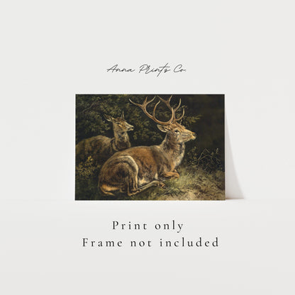 Vintage art print of Deer Rustic Animal Painting with text overlay stating frame not included