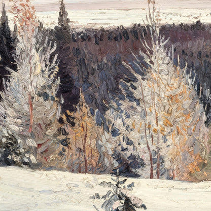 Winter landscape with snow-covered trees and a dark sky.
