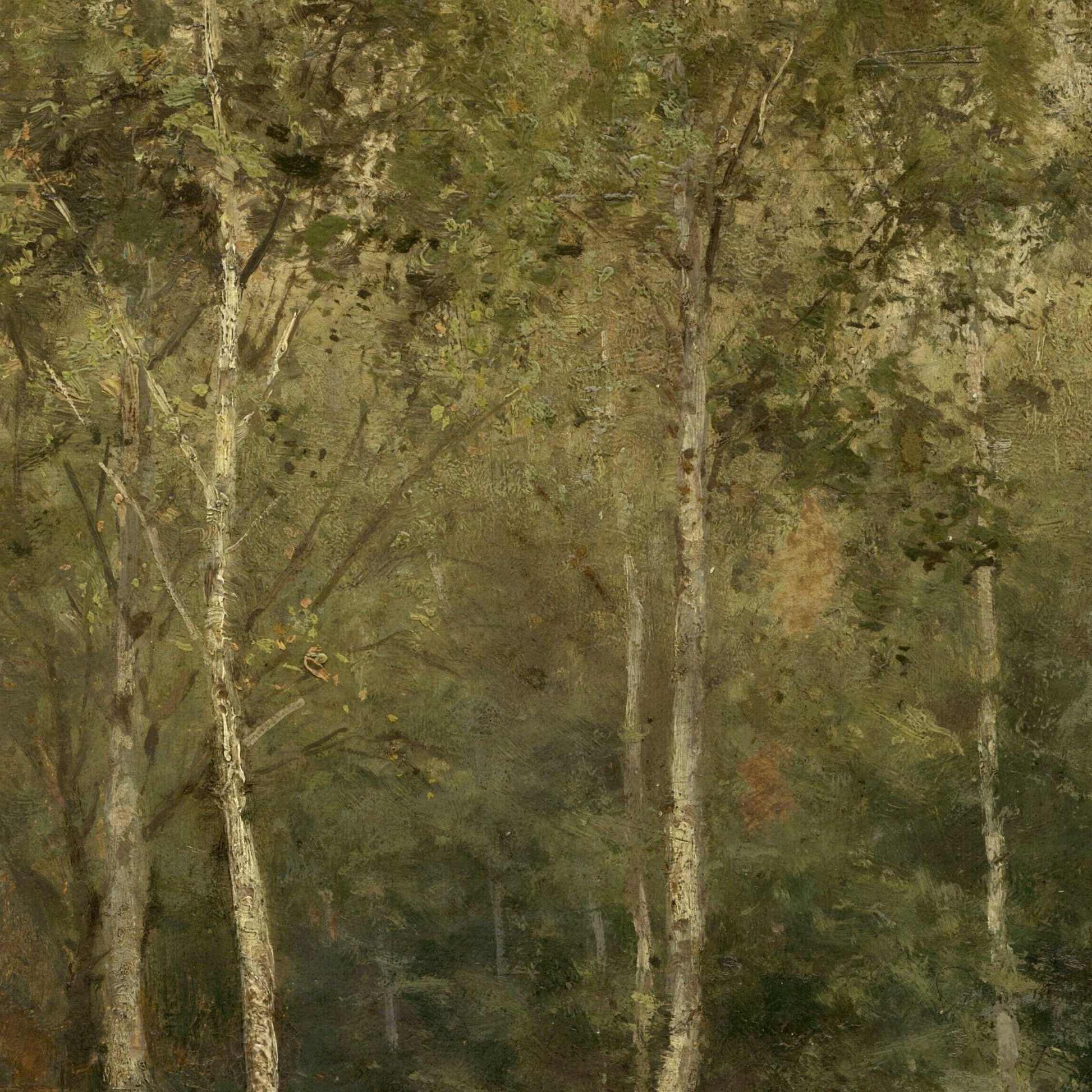 Artistic depiction of trees with a focus on texture and color.