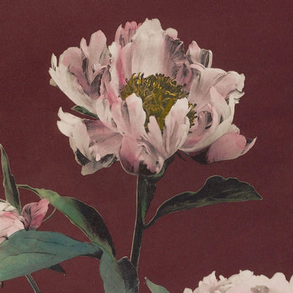 Close-up of a pink flower with green leaves on a dark red background