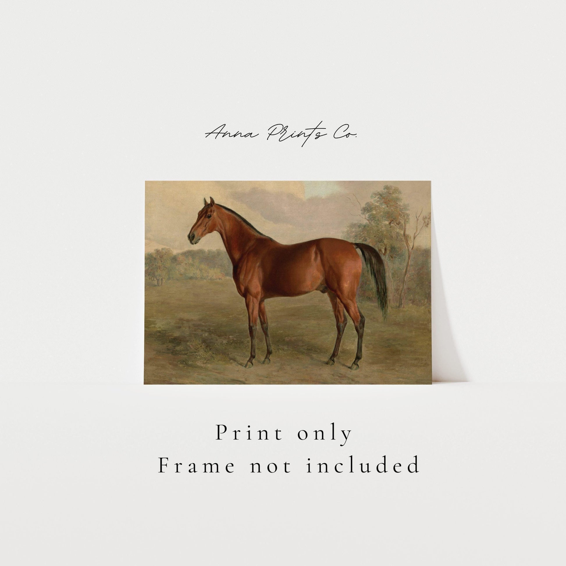 Vintage art print of Horse Equestrian Painting with text overlay stating frame not included