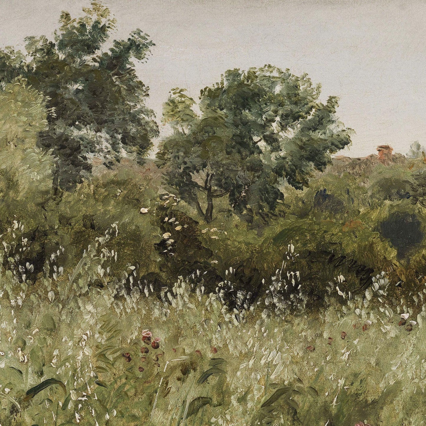 Lush green forest with trees and underbrush