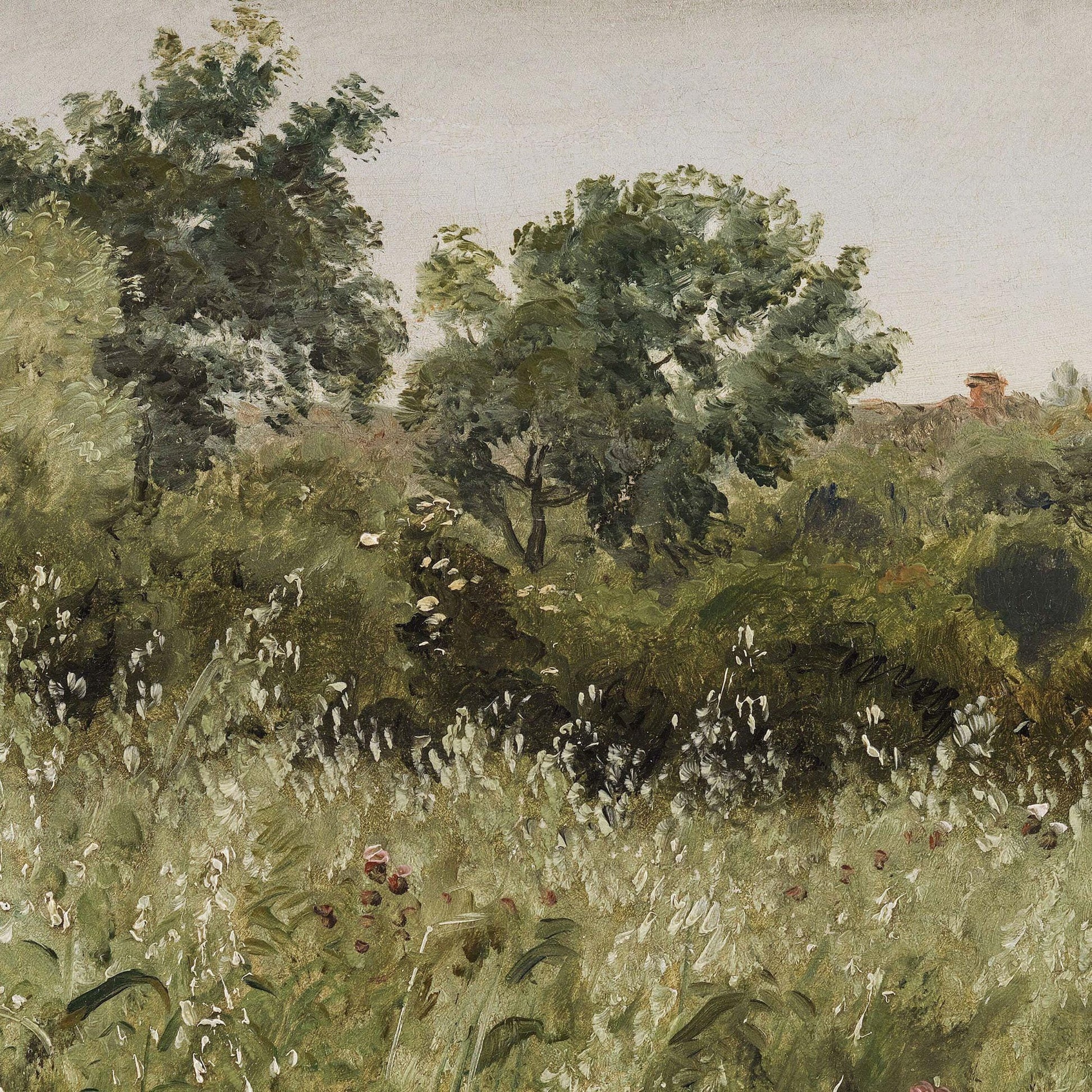 Lush green forest with trees and underbrush