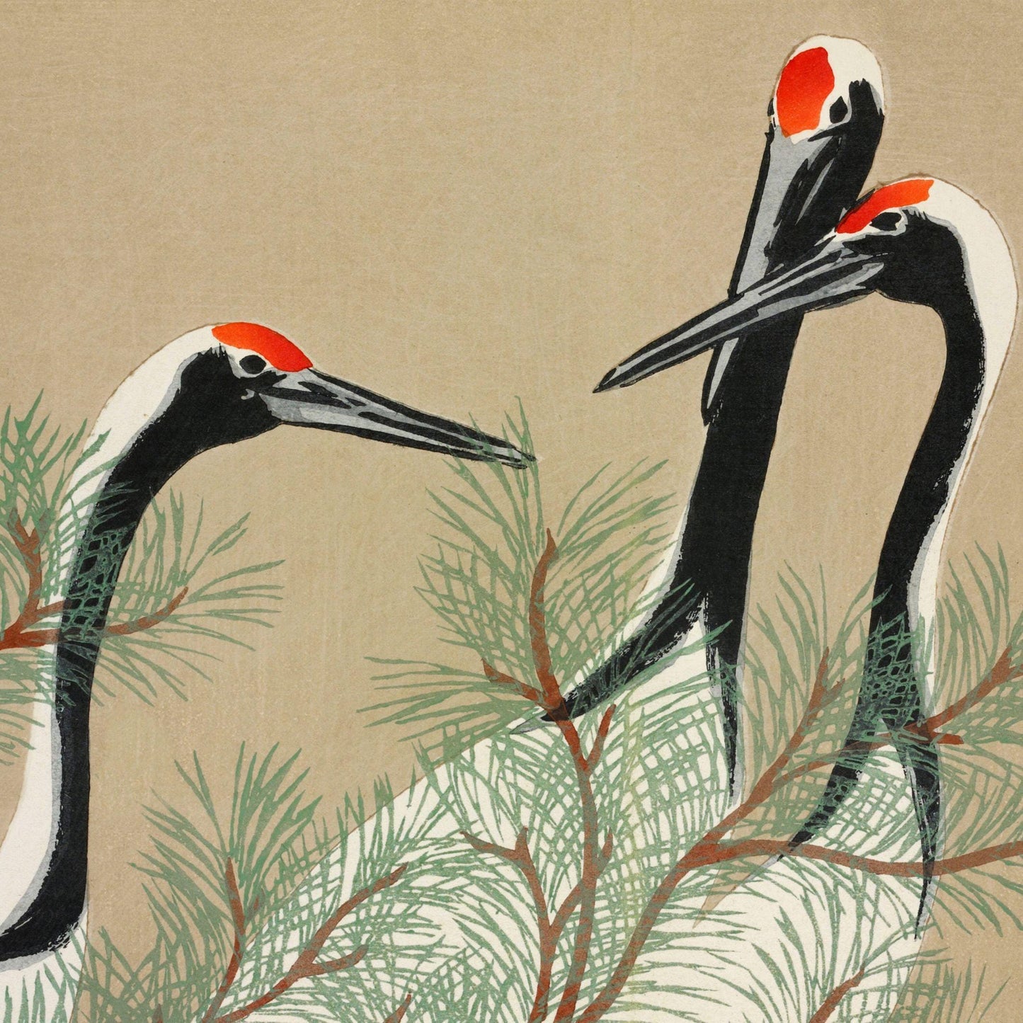 Two cranes in a natural setting with branches and leaves on a beige background