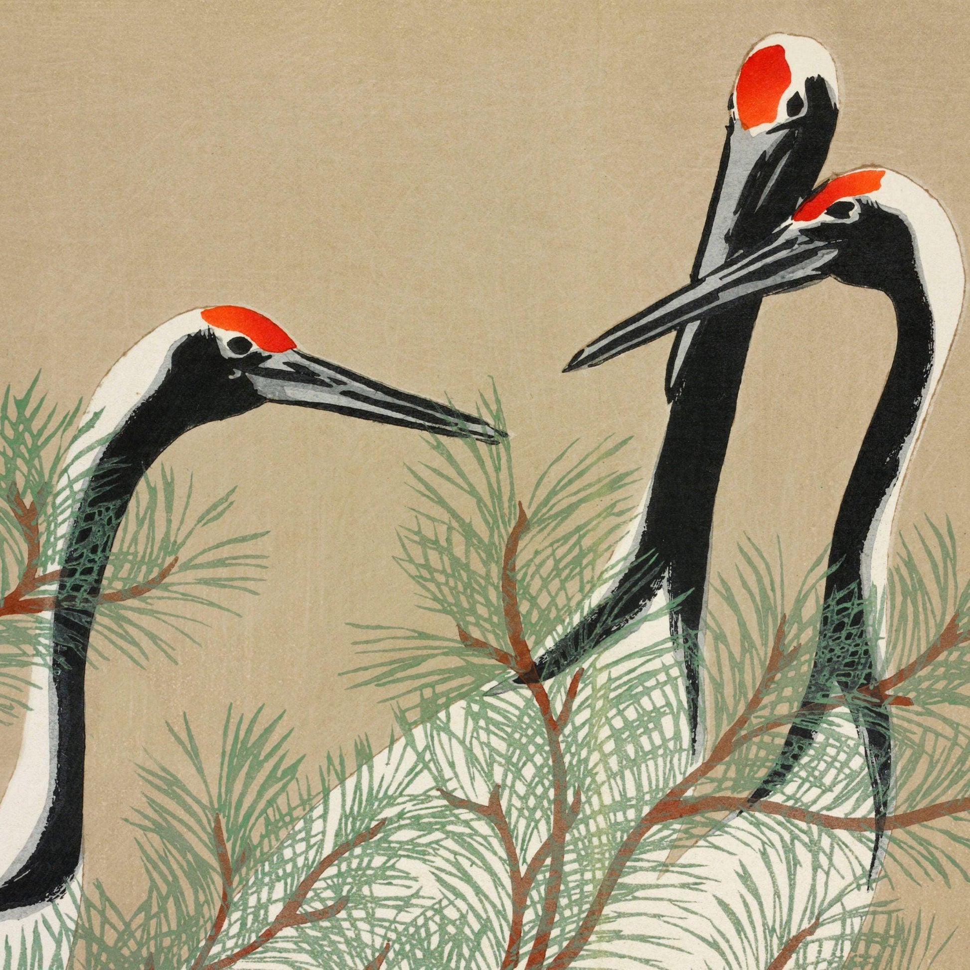 Two cranes in a natural setting with branches and leaves on a beige background