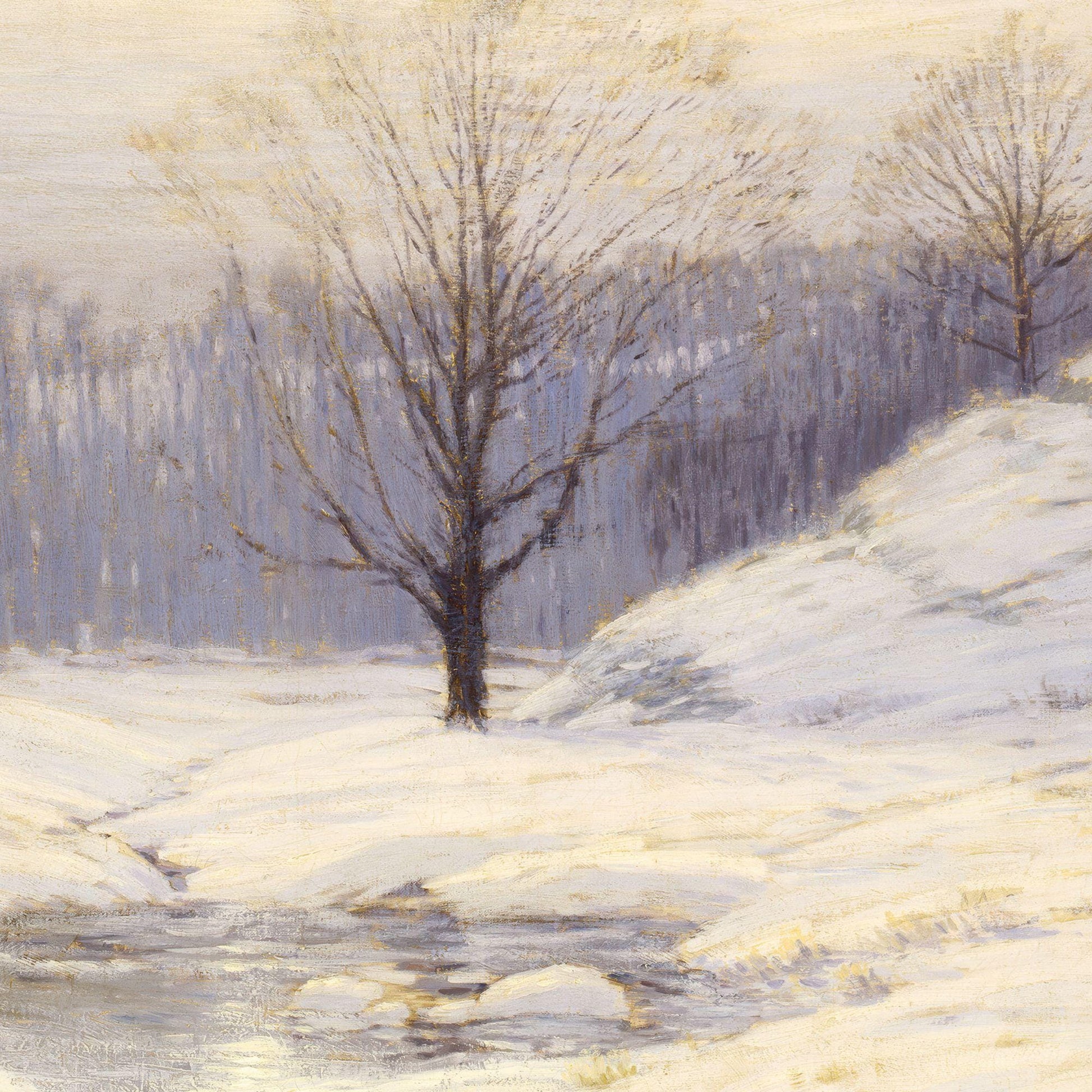 Winter landscape with a solitary tree in a snow-covered field