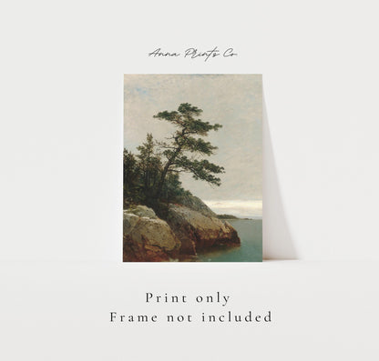 Vintage art print of Old Pine Coastal Landscape Painting with text overlay stating frame not included