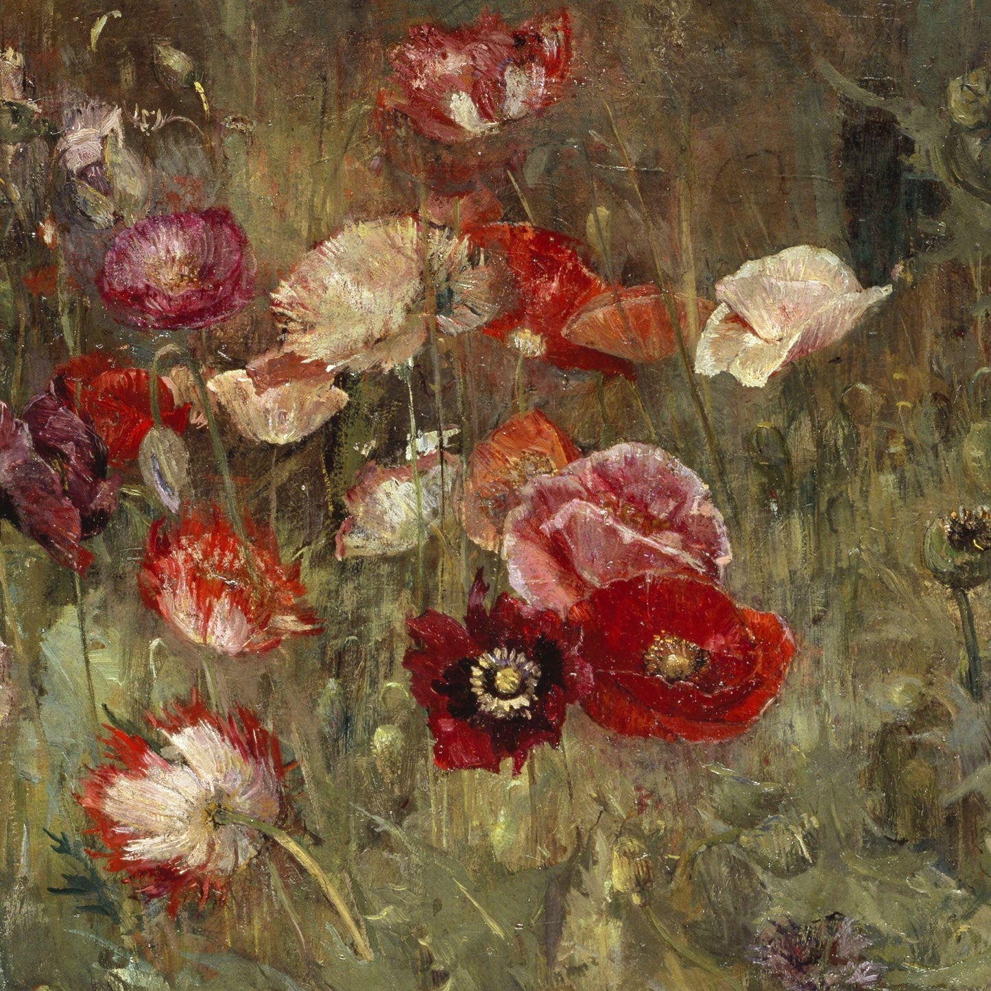 Artistic depiction of red and pink flowers with a blurred background