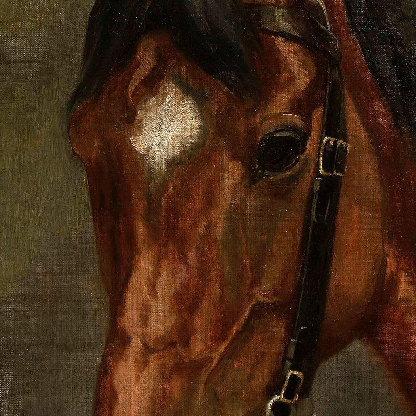Close-up of a horse's head with a bridle against a neutral background