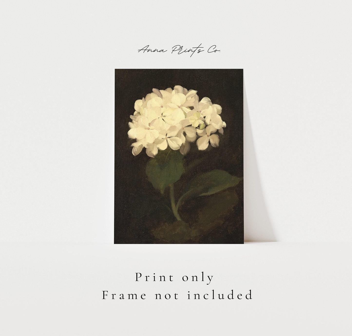 Vintage art print of White Hydrangea Moody Still Life with text overlay stating frame not included