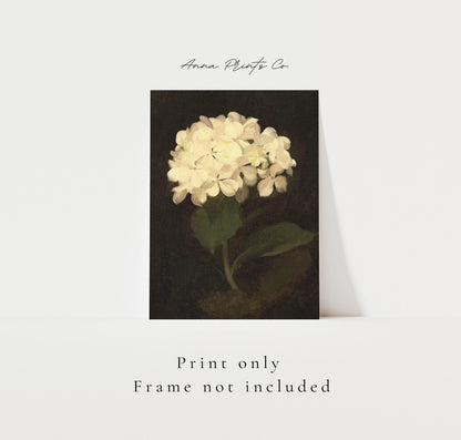 Vintage art print of White Hydrangea Moody Still Life with text overlay stating frame not included