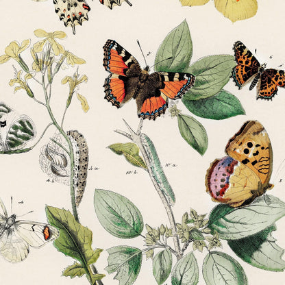 Illustration of butterflies and leaves on a beige background