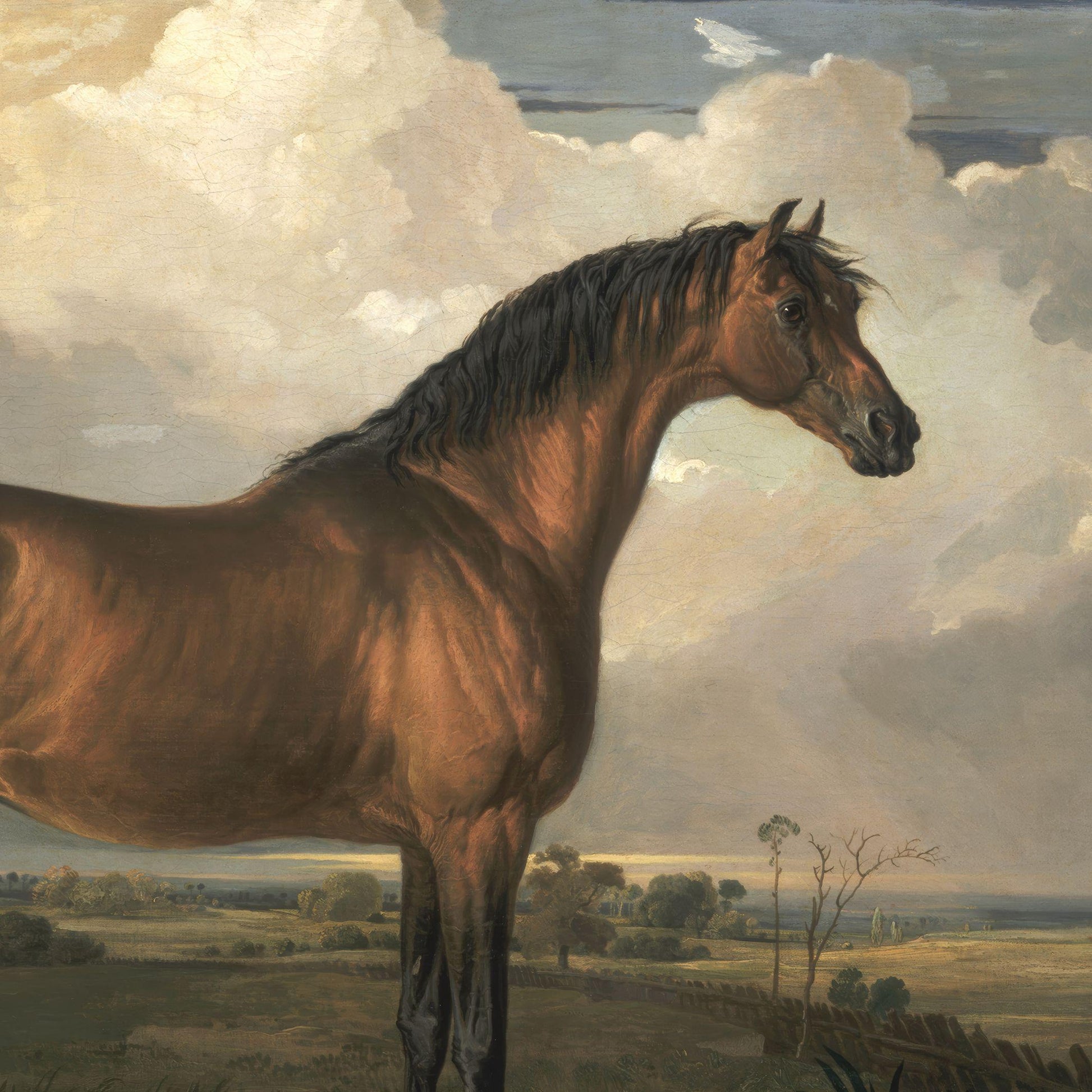 Painting of a brown horse standing in an open field with a cloudy sky.