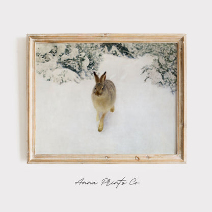 Vintage art print of Hare in Winter Landscape Painting displayed in wooden frame