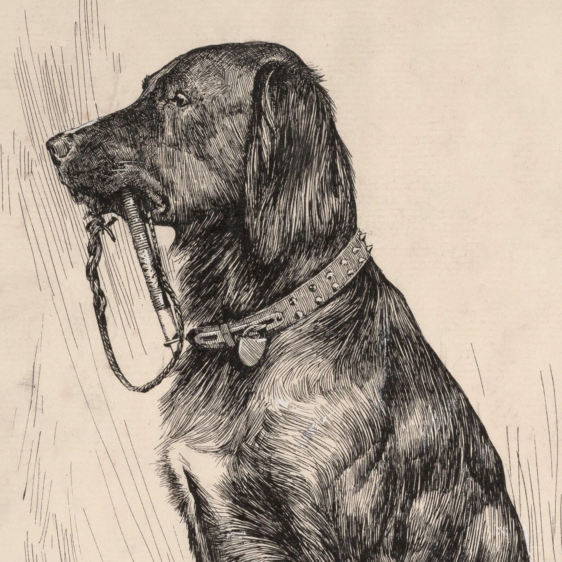 Detailed black and white illustration of a dog with a collar and chain on a textured beige background