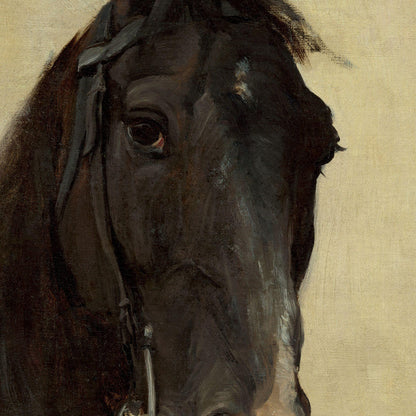 Close-up of a horse's face with a beige background