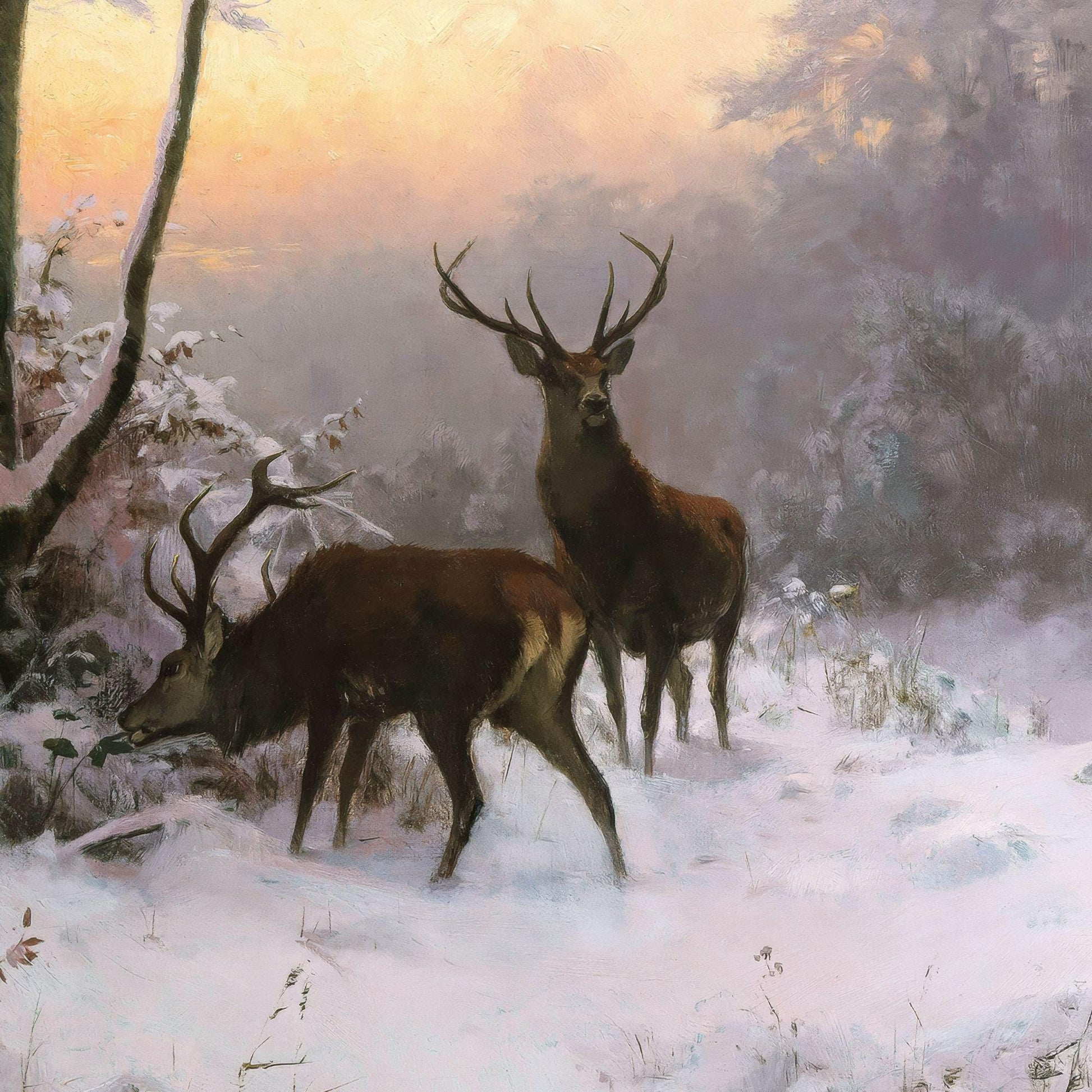 Two deer in a snowy forest with a warm sunset sky
