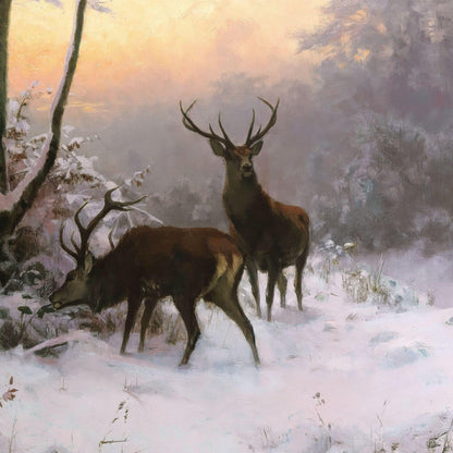Two deer in a snowy forest with a warm sunset sky