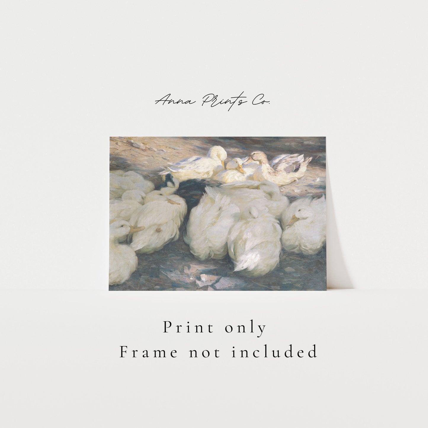 Vintage art print of White Ducks Animal Painting with text overlay stating frame not included