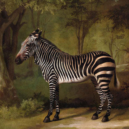 Zebra standing in a natural landscape with trees and grass.