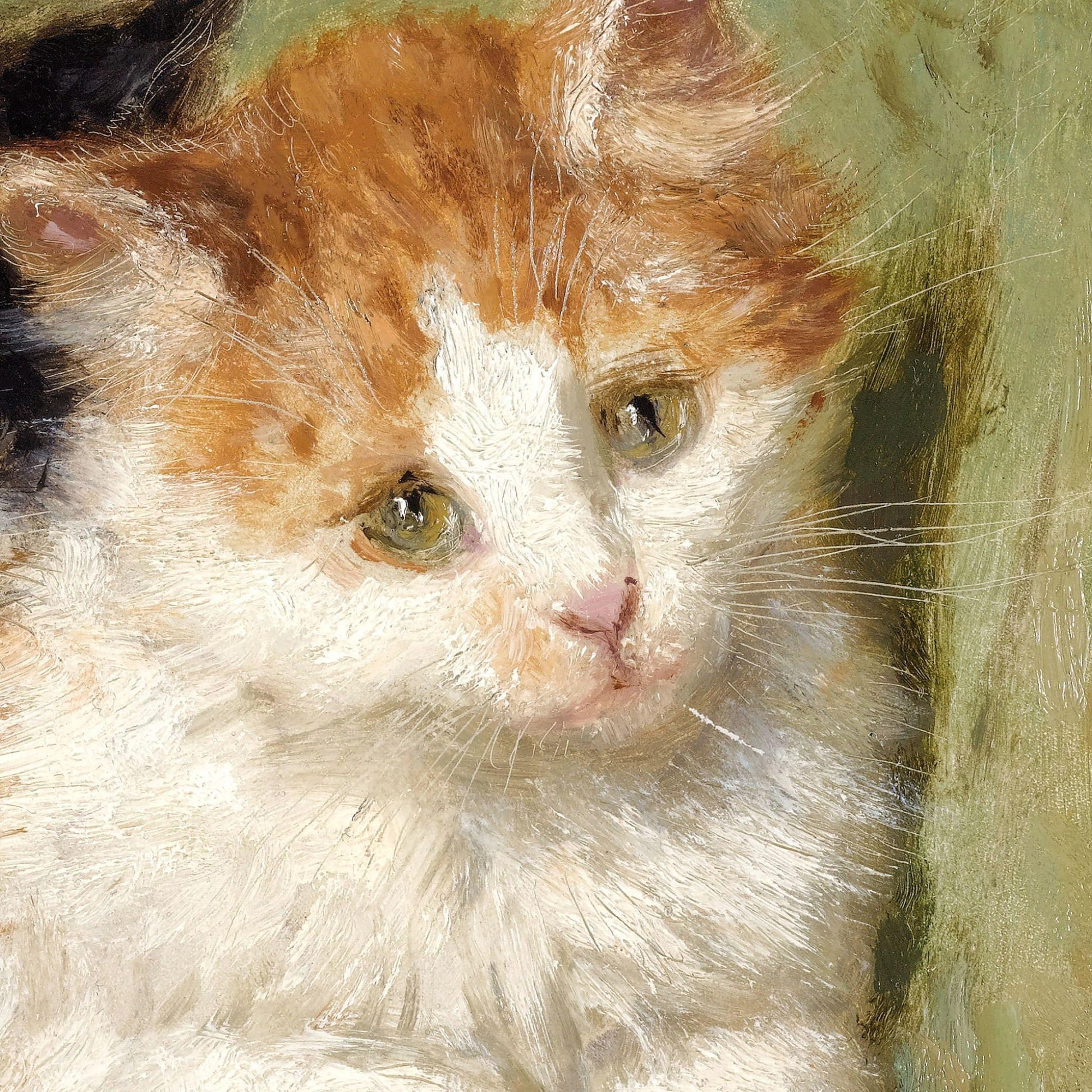 Close-up of a calico cat's face with a soft focus background