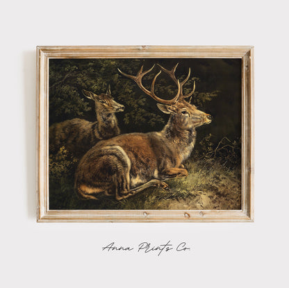Vintage art print of Deer Rustic Animal Painting displayed in wooden frame
