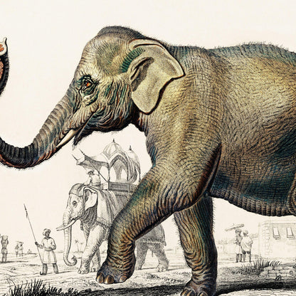 Illustration of an elephant with a historical or vintage setting