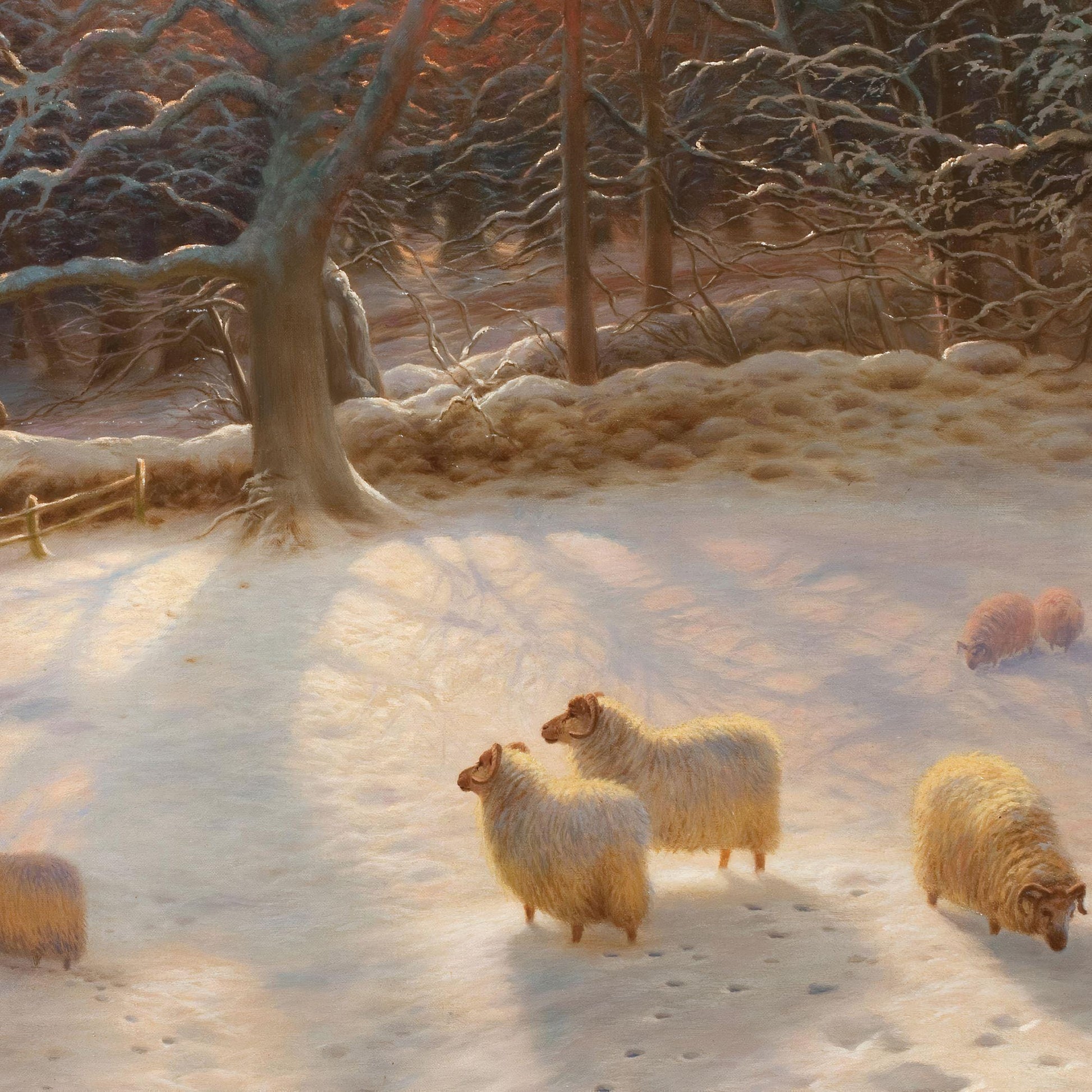 Sheep in a snowy landscape with trees and a warm light source.