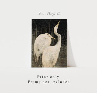 Vintage art print of Two Egrets Bird Artwork with text overlay stating frame not included