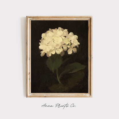 Vintage art print of White Hydrangea Moody Still Life displayed in wooden frame